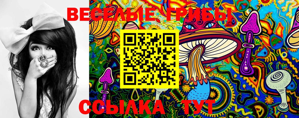 Псилоцибиновые грибы мухоморы  Вход с VPN  даркнет сайт  Каменск-Шахтинский 