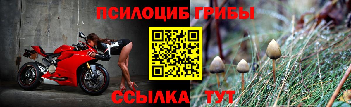 Псилоцибиновые грибы MAGIC MUSHROOMS Каменск-Шахтинский
